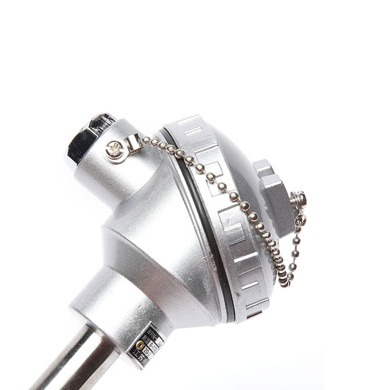0.2–0.4 mm diameter wayar Jenis S/B/R relau termokopel platinum-rhodium probe penderia suhu tinggi untuk logam cair