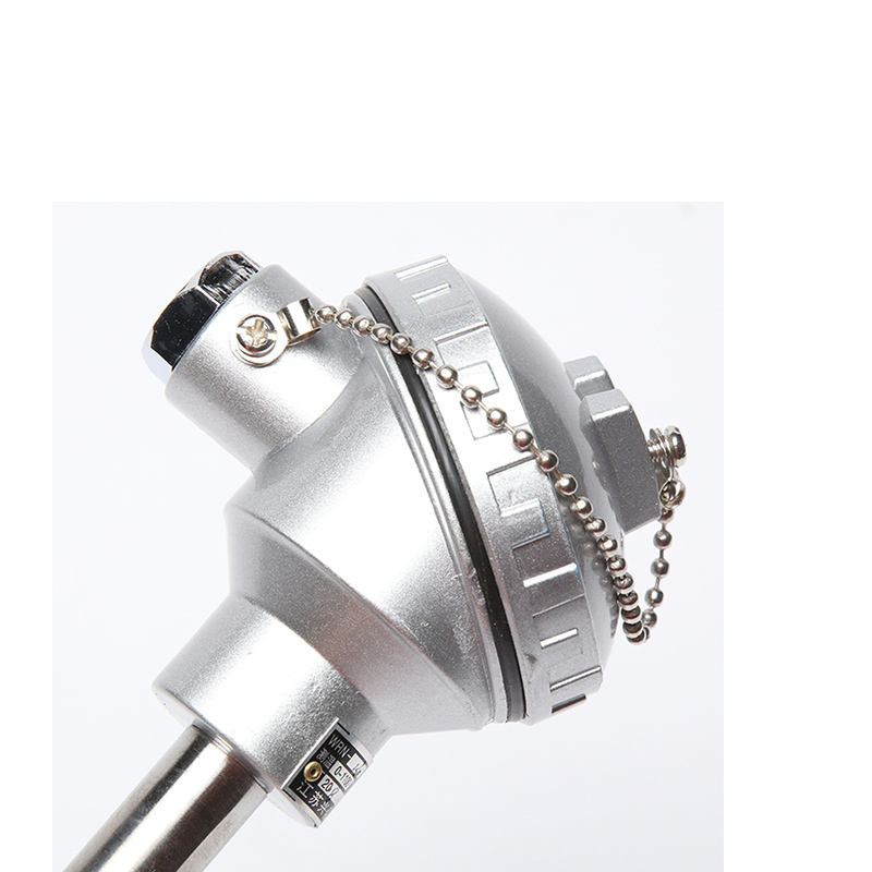 0.2–0.4 mm diameter wayar Jenis S/B/R relau termokopel platinum-rhodium probe penderia suhu tinggi untuk logam cair